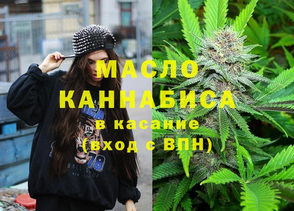 гидропоника Горняк