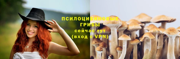 Альфа ПВП Вязники