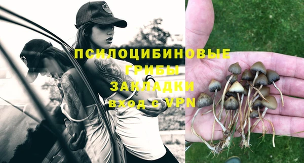 прущая мука Горно-Алтайск