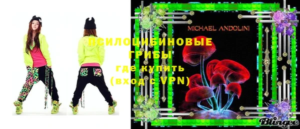 прущий лед Вяземский